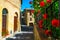 Flowery garden and paved street view in Tuscany, Monticchiello, Italy