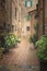 Flowery streets on a rainy spring day in a small magical village Pienza, Italy