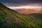 Flowes in the mountains during sunrise