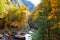 Flowing Creek With Fall foliage