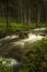 Flowing Creek in Montana