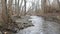 Flowing creek through wooded forest with light snowflakes falling down