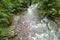 Flowing Firtina River in Rize in Forest