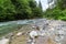 Flowing Firtina River in Rize in Forest