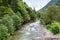 Flowing Firtina River in Rize in Forest