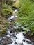 Flowing Forest Stream and Waterfall