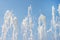 Flowing fountain water spray pattern with blue bright sky background refreshing  macro wallpaper