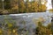 Flowing river and autum forest at background