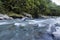 Flowing river and forest,Fiordland, New Zealand