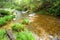 Flowing river in the otway national park