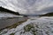 Flowing river in snowy forest