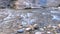 Flowing River at Zion National Park Utah Panning Shot