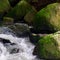 Flowing Rivers and Waterfalls Of Costa Rica, Central America