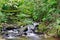 Flowing Rivers and Waterfalls Of Costa Rica, Central America