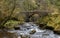 Flowing stream under a stone bridge in Brecon Beacons