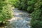 Flowing stream in the woods curving around a bend