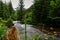 flowing torrent in a green nature reserve in the summer