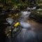 Flowing water on the Kirk Burn in Campsie Glen