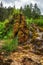 Flowing water through travertine rocks in forest