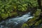 Flowing water turned milky white by a long exposure as it flows around green and brown mossy rocks.