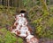 Flowing waterfall stream in Blairadam Forest, Fife, Scotland