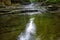 The flowing waters of Tanyard Creek