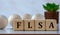 FLSA - acronym on wooden cubes against the background of light balls and cactus