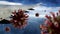 Flu coronavirus floating on air with sky and plane wing. Pandemic Covid 19