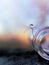 Fluff with a drop of water near a transparent glass jar, against the background of a Golden sunset