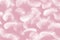 Fluffly White Feathers on Pink Texture Background