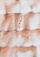 Fluffy abstract background faux fur texture peach