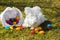 Fluffy angora rabbit eating herbs on grass