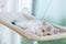 A fluffy baby cat lounges on the shelf hanging by the window inside the house