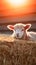 Fluffy Baby Lamb Resting on Soft Hay Bale with Red Barn in Background