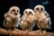 fluffy baby owls perching on branch, looking out at the world with curious eyes