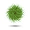 Fluffy ball rolling. Cartoon plant tumbleweeds.