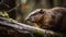 Fluffy beaver eating nutria on wet grass generated by AI