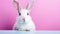 Fluffy bunny with adorable floppy ears on vibrant studio backdrop, radiating pure cuteness