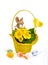 Fluffy bunny basket with yellow flowers and scattered Easter eggs