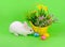 Fluffy bunny and flowers on green
