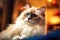 A fluffy cat with blue eyes laying on a bed. Generative AI image.