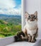 fluffy cat with blue eyes sitting on a window sill on a background of green hills and cloudy blue sky, cozy home concept