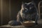 Fluffy cat with a bowl of food, black cat, pet cat, generative ai