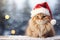 Fluffy cat with a Christmas hat in a winter landscape with a Christmas tree. Copy space