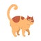 Fluffy Cat with Ginger Spotted Coat and Curved Tail Arching Its Back Vector Illustration