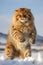 A fluffy cat jumping in the air in the snow. Generative AI image.