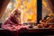 fluffy cat in a knitted blanket sits at home on the windowsill next to autumn vegetables