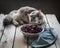 Fluffy cat lying on a wooden table and sadly looking at a Cup of cherries