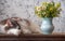 A fluffy cat sleeping peacefully on the table next to a blue vase with wildflowers