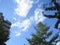 fluffy cloud and clearly blue sky with green trees